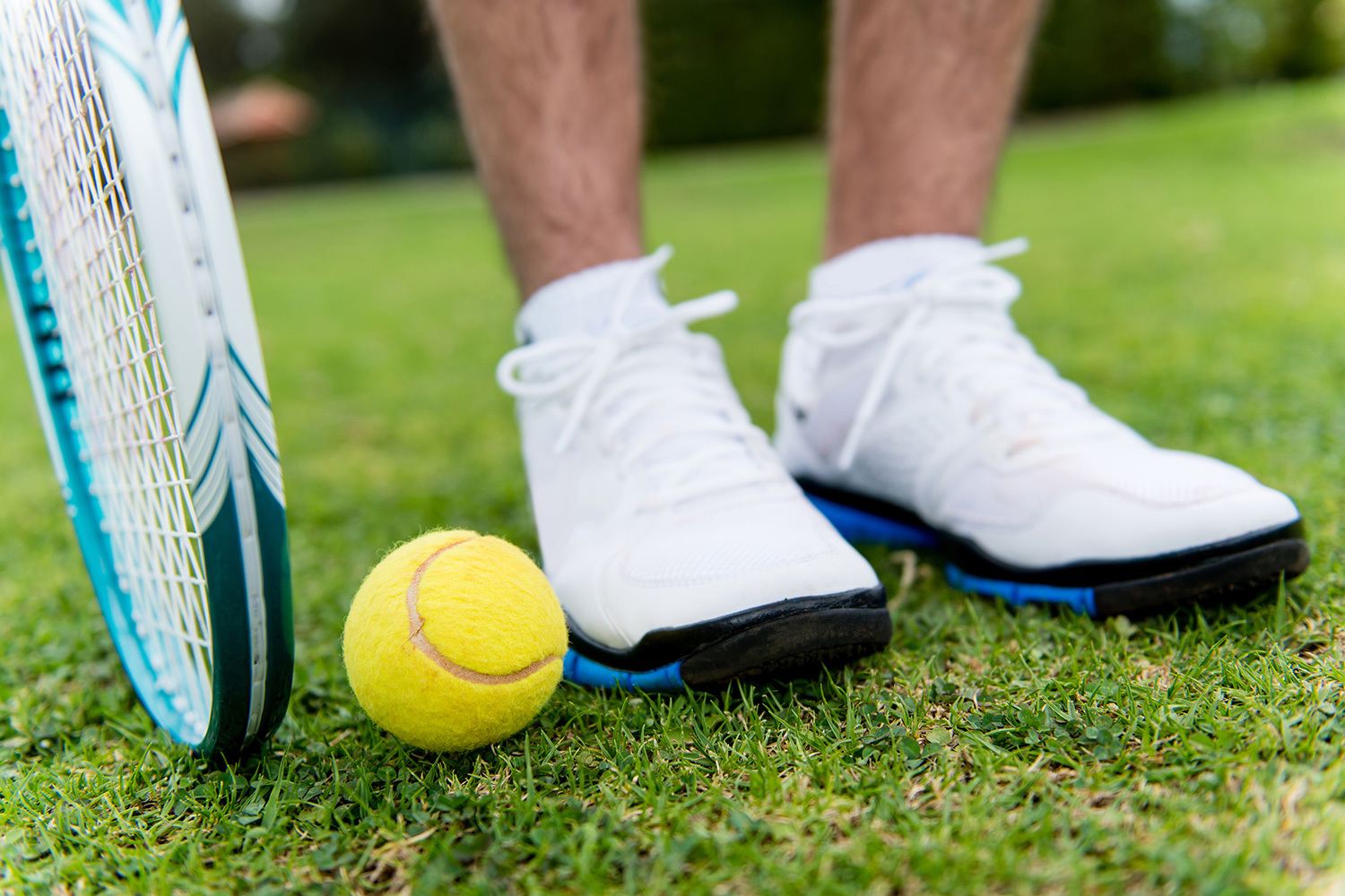 <span style="font-weight: bold;">Ligă</span><br>